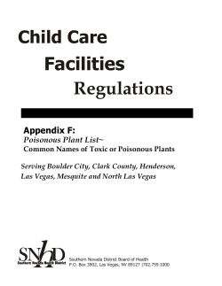 Child Care Facilities Regulations Appendix F