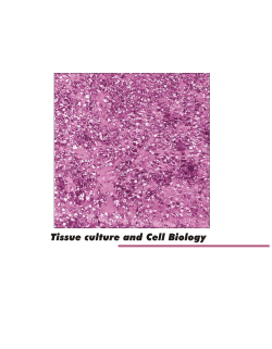 tissue culture and cell biology