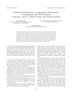 Prolactin and Paternal Care: Comparison of Three Species of