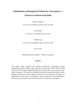 Globalisation and Regional Productivity Convergence: A Firm