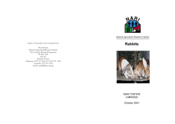 LAB002 Rabbits (E) - PNG National Agricultural Research Institute