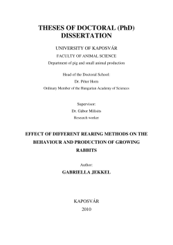 THESES OF DOCTORAL (PhD) DISSERTATION