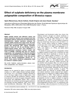 Effect of sulphate deficiency on the plasma