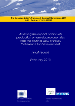 Assessing the impact of biofuels production on developing countries