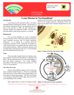 Lyme Disease In Newfoundland - Department of Health and