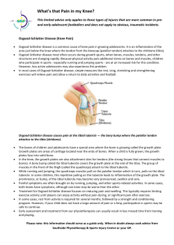 Knee Pain - Cronulla RSL Football Club