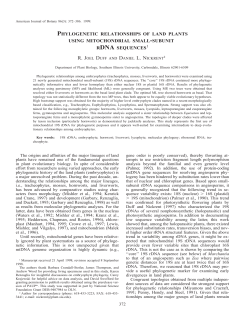 phylogenetic relationships of land plants
