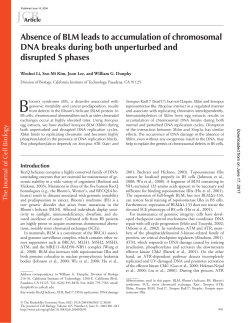 Absence of BLM leads to accumulation of chromosomal DNA breaks