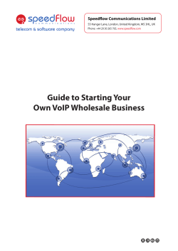 Guide to Starting Your Own VoIP Wholesale Business