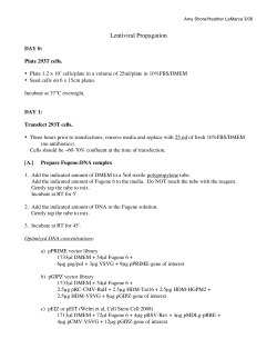 Lentiviral Propagation