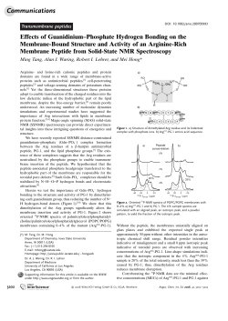 Effects of Guanidinium-Phosphate Hydrogen Bonding