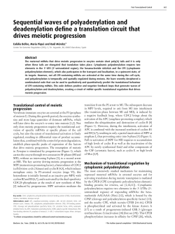 Sequential waves of polyadenylation and deadenylation define a
