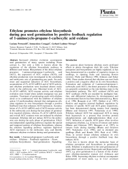 Ethylene promotes ethylene biosynthesis during pea seed