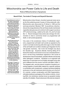 Mitochondria can Power Cells to Life and Death