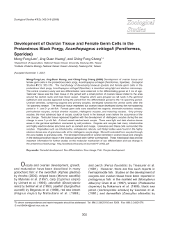 Development of Ovarian Tissue and Female Germ Cells in the