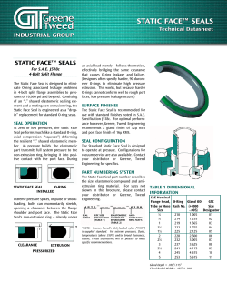 Static Face Seal
