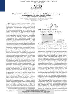 Differential Minor Groove Interactions between