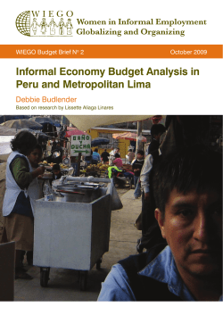 Informal Economy Budget Analysis in Peru and Metropolitan