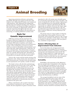 Beef Cattle Production - MP184