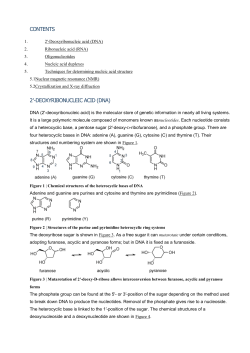 CONTENTS 2&prime;-DEOXYRIBONUCLEIC ACID (DNA)
