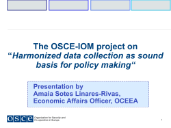 The OSCE-IOM project on &ldquo;Harmonized data collection as sound