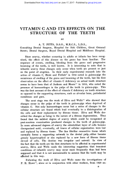 structure of the teeth Vitamin C and its effects on the