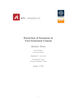 Extraction of Synonyms in User-Generated Content Bachelor Thesis
