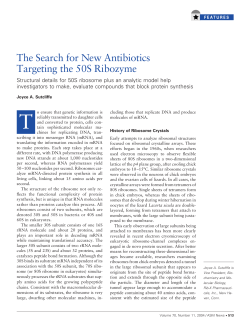 The Search for New Antibiotics Targeting the 50S Ribozyme