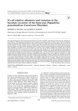 It`s all relative: allometry and variation in the baculum (os penis) of