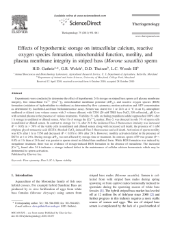 Effects of hypothermic storage on intracellular calcium, reactive