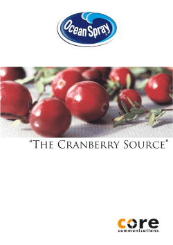 Ocean Spray Report - Core Communications