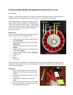 An Easy-to-Make Model that Explains the Inner Parts