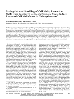 Mating-Induced Shedding of Cell Walls, Removal