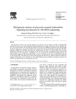 Phylogenetic analysis of polycyclic aromatic hydrocarbon degrading