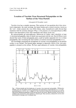 38~ Location of Vaccinia Virus Structural Polypeptides on the