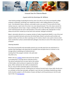 Unusual Uses for Chlorine Bleach