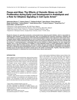 Pause-and-Stop: The Effects of Osmotic Stress on Cell Proliferation