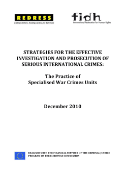 STRATEGIES FOR THE EFFECTIVE INVESTIGATION