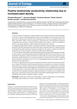 Positive biodiversity&ndash;productivity relationship due to increased plant