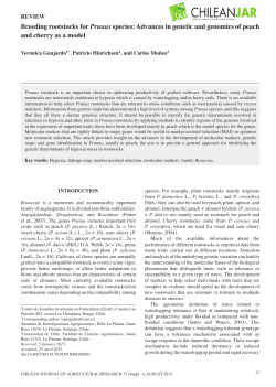 Breeding rootstocks for Prunus species: Advances in genetic and