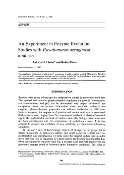 An experiment in enzyme evolution studies with