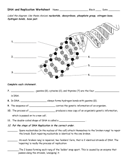 DNA and Replication