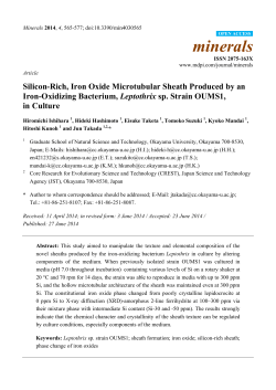 Silicon-Rich, Iron Oxide Microtubular Sheath Produced by an