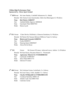 Clifden High Performance Final - Connemara Pony Breeders Society