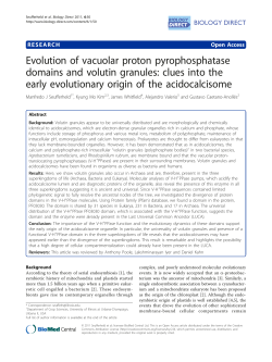 Evolution of vacuolar proton pyrophosphatase domains and volutin