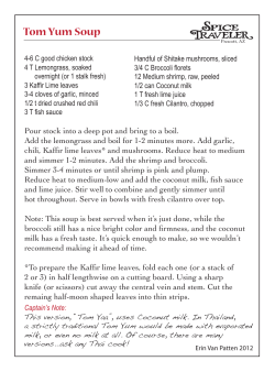 Tom Yum Soup - Spice Traveler