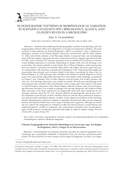 ecogeographic patterns of morphological variation in elepaios