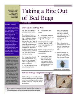 Taking a Bite Out of Bed Bugs