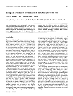 Biological activities of p53 mutants in Burkitt`s lymphoma cells