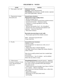 notes - UBC Blogs